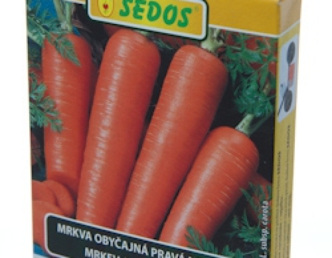 Sedos Morcov "Tinga" - bandă de însămânțare 5m