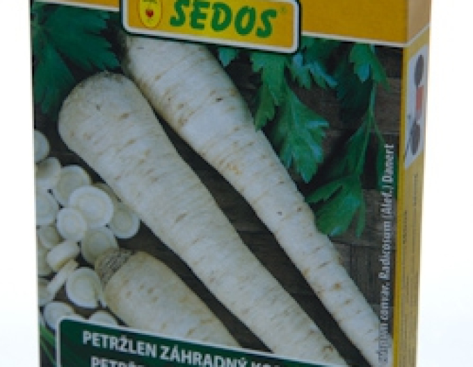 Sedos Pătrunjel de grădină - înrădăcinat ´Orbis´ - bandă de însămânțare 5m