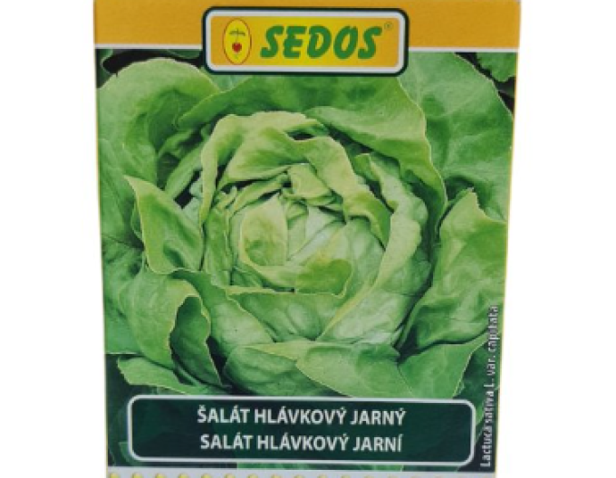 Sedos Salată de primăvară ´King of May I.´ - bandă de însămânțare 5m