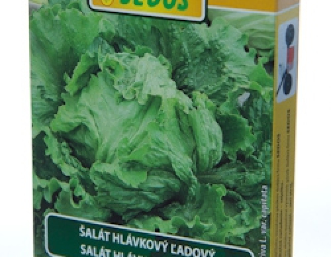Sedos Salată de vară Prazan - bandă de însămânțare 5m