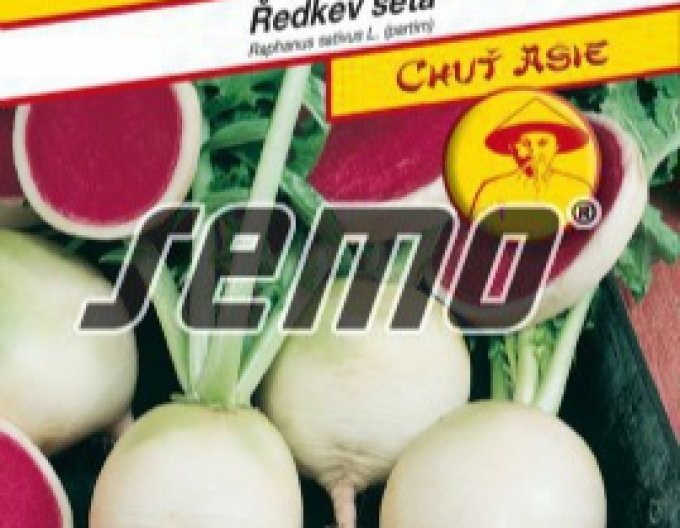 Semințe de ridiche albă ´Red Meat´