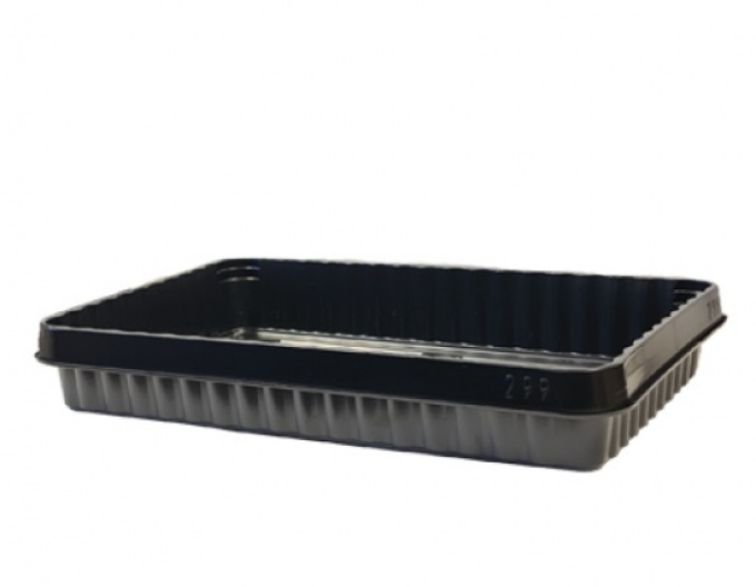 Castron de creștere 40x28cm 5l