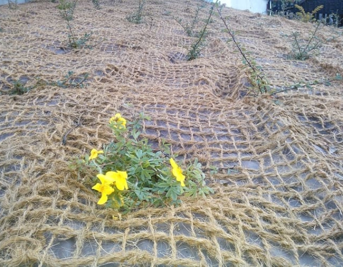 Geomanet K EKO plasă de nucă de cocos 400g/m2 2x1m