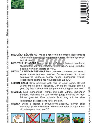 Semo semințe de roiniță ´Citra´