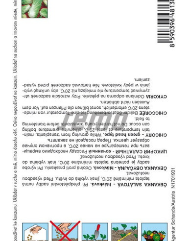 Semințe Cicoare salată de salată ´Bravo´