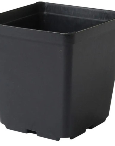 Ghiveci pătrat din plastic 11x11x12