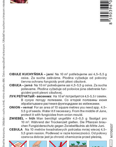 Semințe de ceapă de primăvară "Carminka