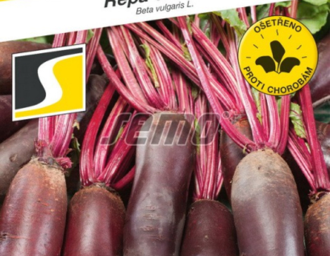 Semo Sfeclă roșie ´Carotă´