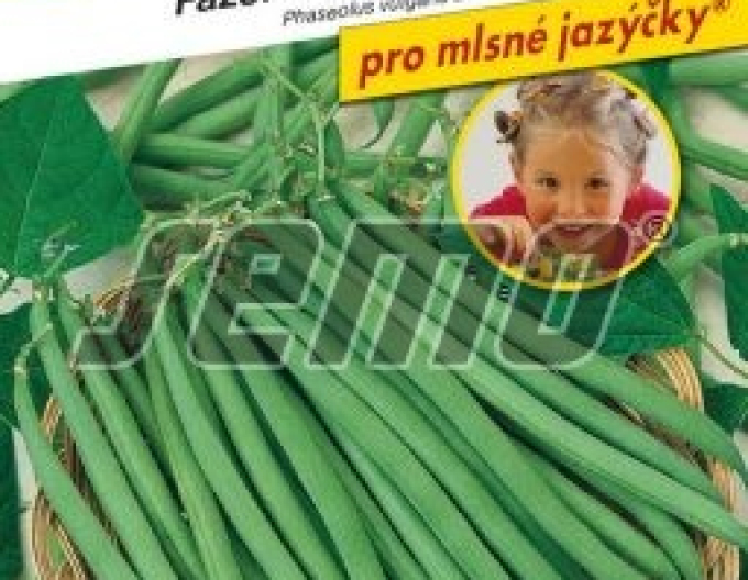 Fasole de grădina  semințe ´Gusty´