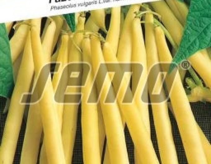 Fasole de grădina  semințe ´Maxidor´