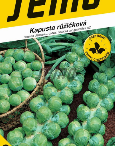 Semo Varză creață  Groninger