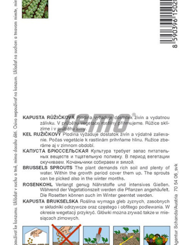 Semo Varză creață  Groninger