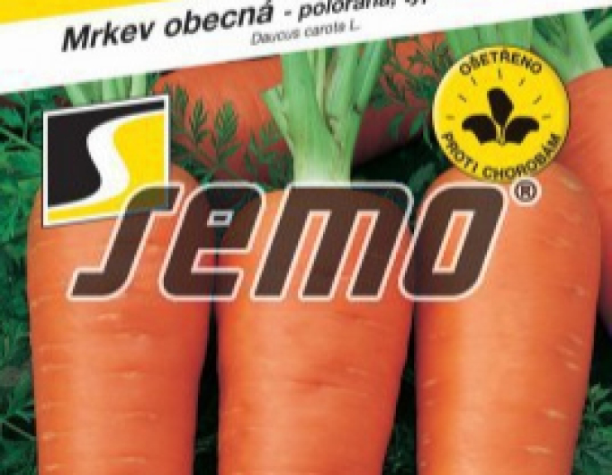 Semințe de morcov "Chamare