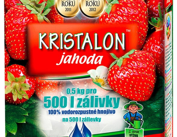 KRISTALON Căpșuni 500g