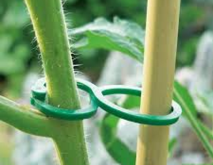 Pansament pentru copaci GARDENLINE 30pcs