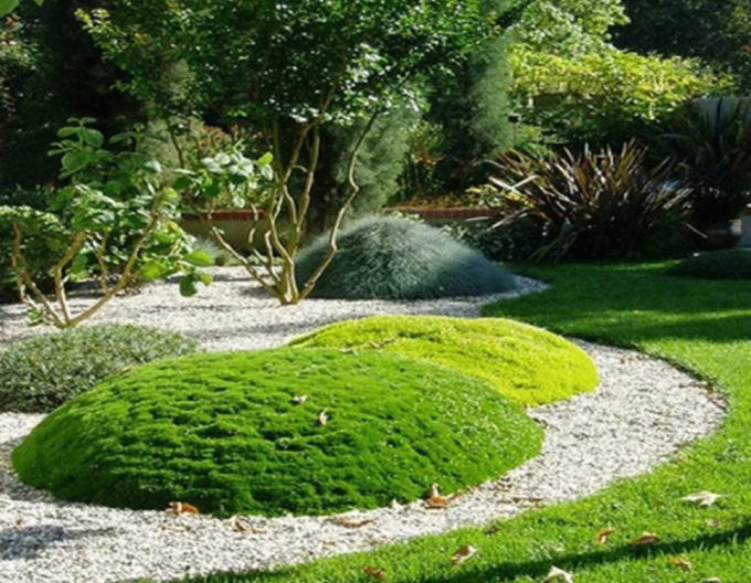 Lime Moss´