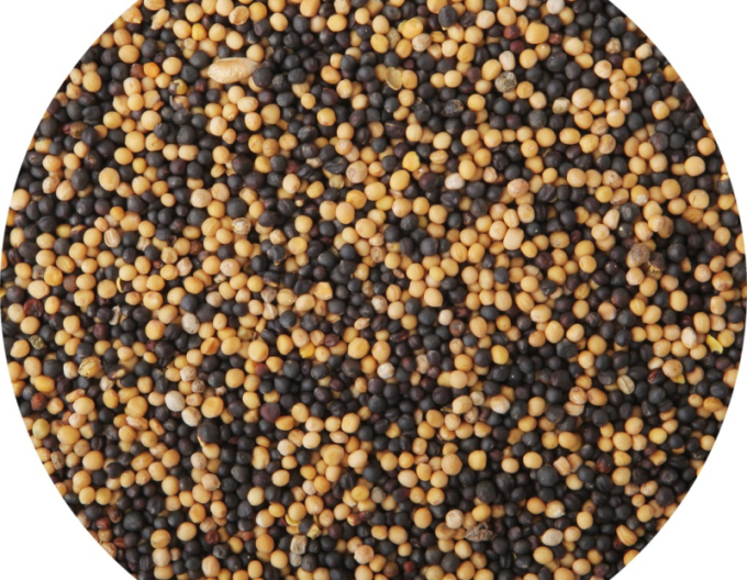Amestec de muștar și semințe de rapiță 400g