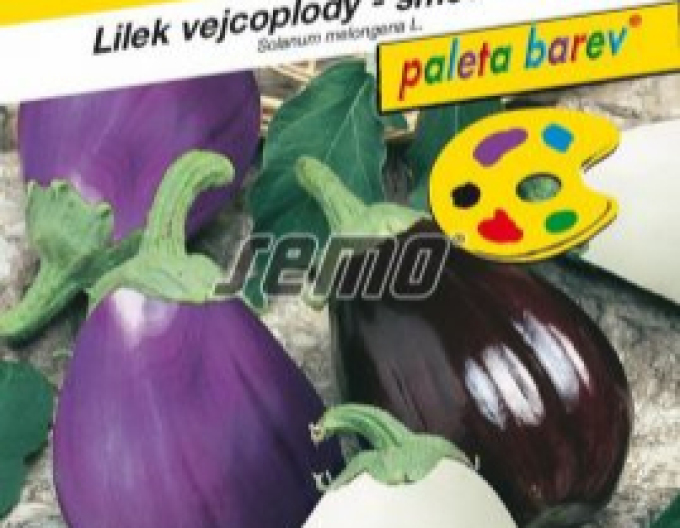 Semințe de vinete (bulb de vinete) ´Mixtura de culori´