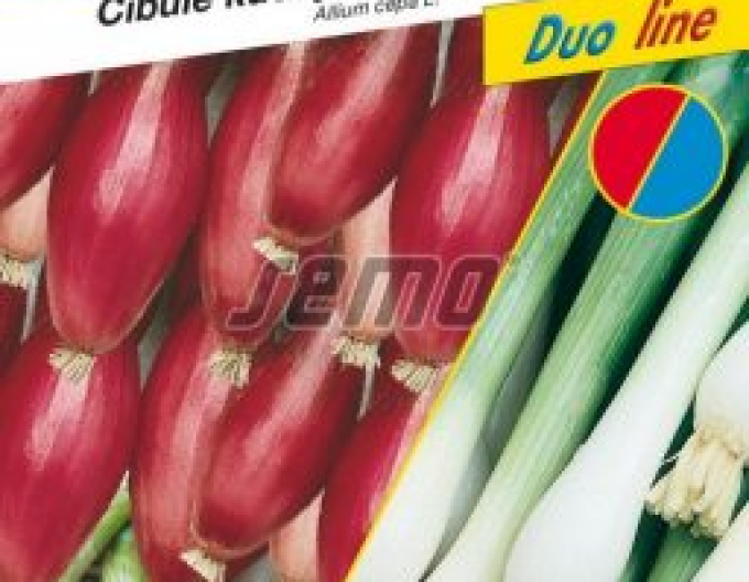 Ceapă de bucătărie Semo ´Mixtura de culori´ pachet