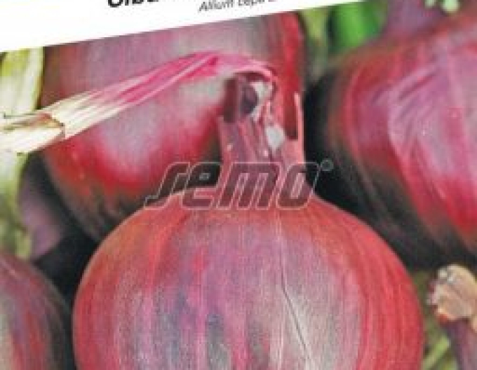Semo Bucătărie Ceapă Lilia
