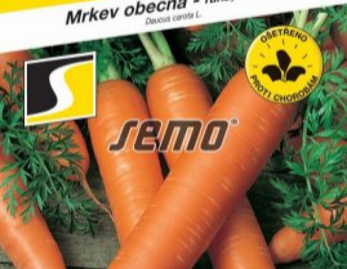 Semințe de morcov "Lenka