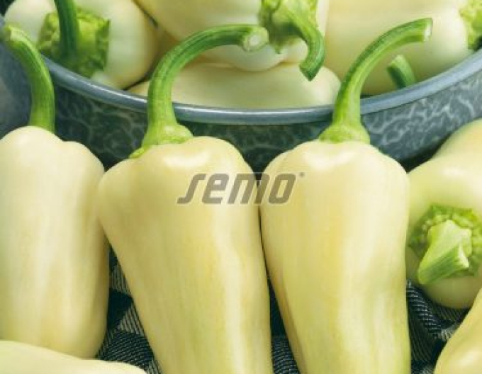 Semințe anuale Paprika ´Amykus F1´