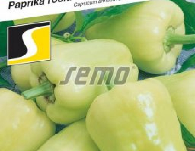 Seed Pepper anual ´Kvadry F1´
