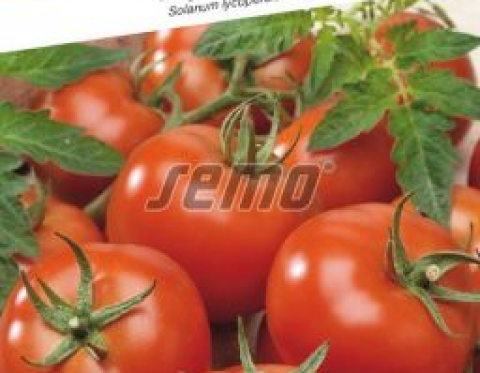 Semințe Tomate Niki Zel F1