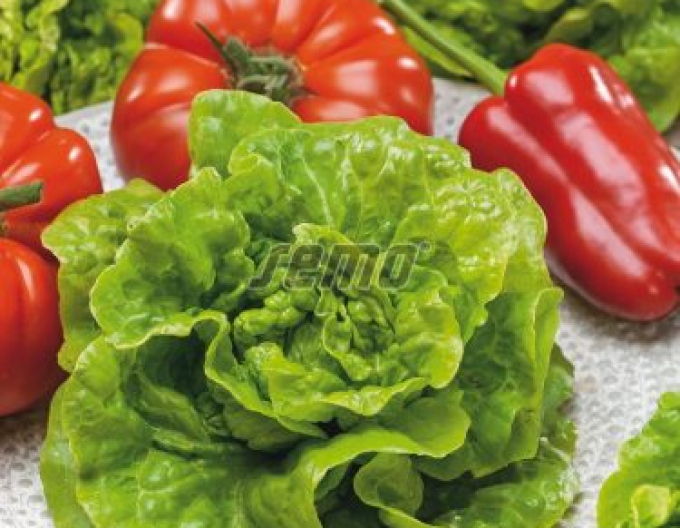 Salată de semințe Sapphire