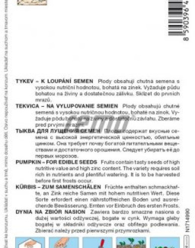 Semo Dovleac gigant Gurman (SM 396/19)