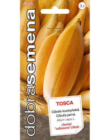 Ceapă de bucătărie Tosca
