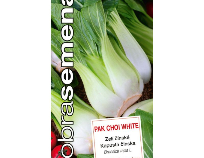 Semințe de  Varză chinezească Pak Choi White