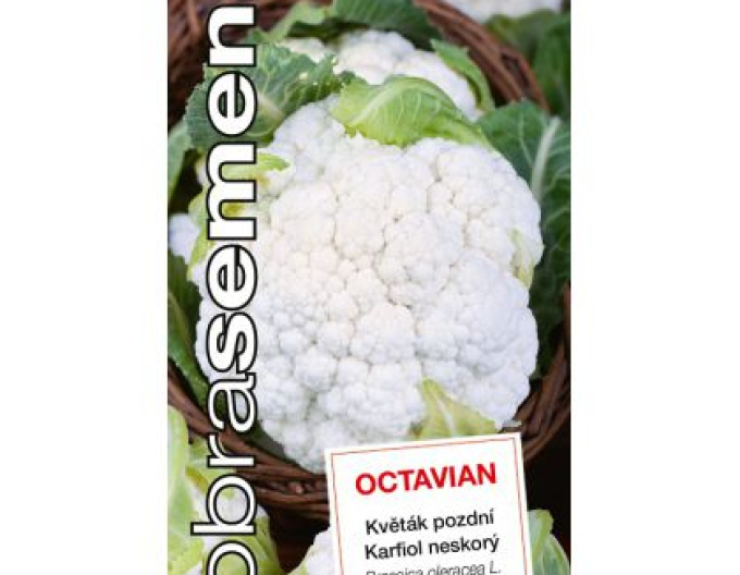 Semințe de Conopidă ´Octavian´