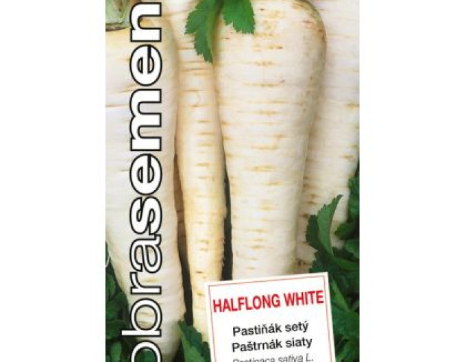 Semințe de păstârnac  Halflong White