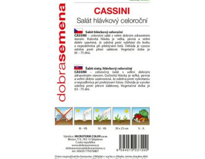 Semințe salată căpățănă ´Cassini´