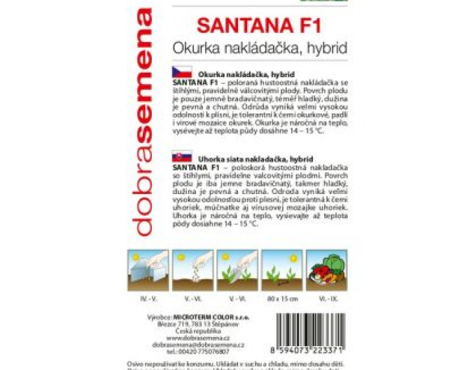 Semințe bune Castravete Santana F1´