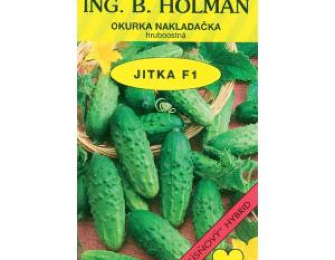 Castraveți Holman ´Jitka F1´