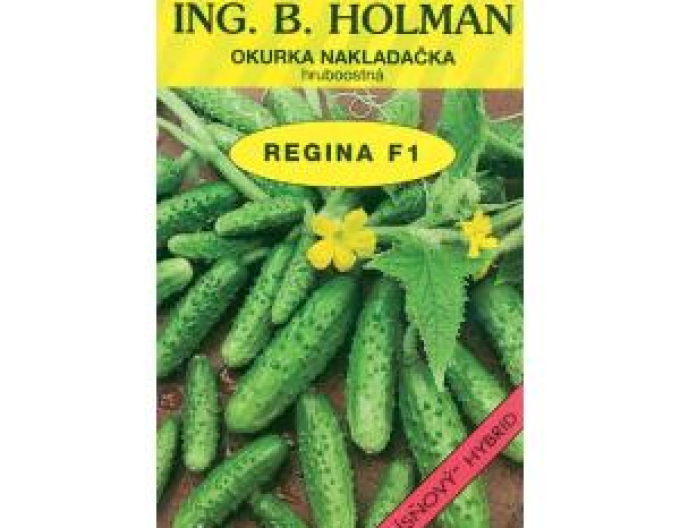 Castraveți Holman ´Regina F1´