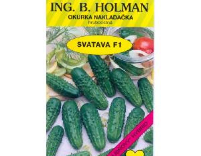 Castravete Holman Svatava F1´
