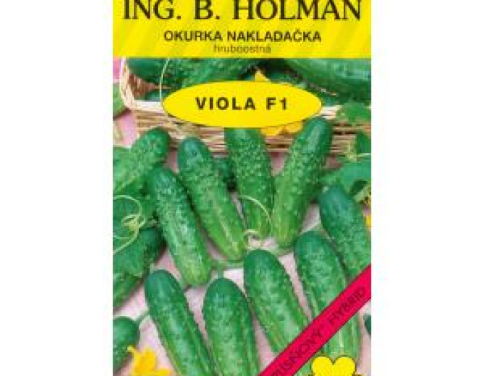 Holman Castravete Viola F1´