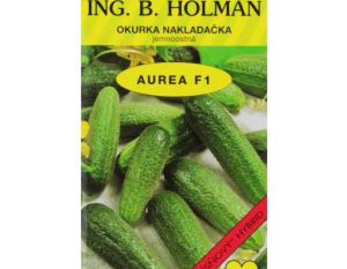 Castravete Holman Aurea F1´