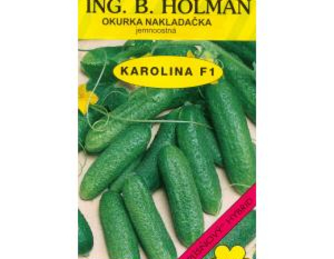 Castravete Holman ´Karolina F1´