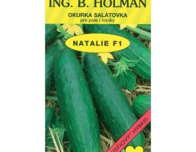 Castravete Holman Natalie F1´