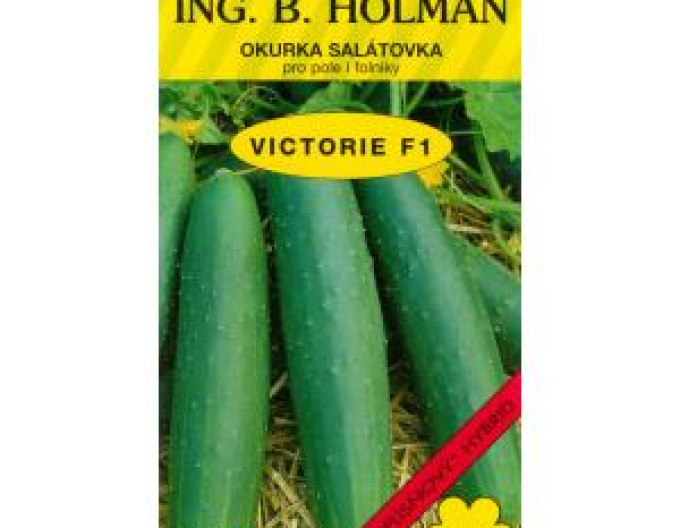 Casravete Holman ´Viktorie F1´