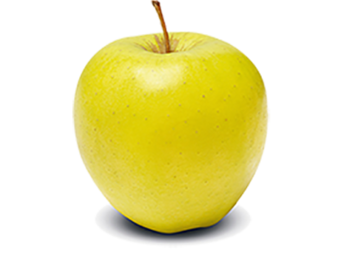 Măr ´Golden Delicious´ iarnă, portaltoi A2, rădăcină liberă