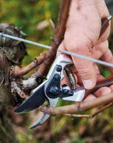 FELCO 6 Elite Secateurs