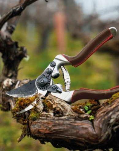 FELCO 8 Elite Secateurs