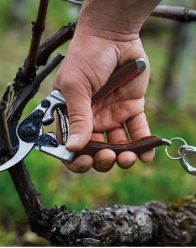 FELCO 8 Elite Secateurs