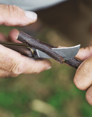 Cuțit de vaccinare FELCO 511 Grapevine