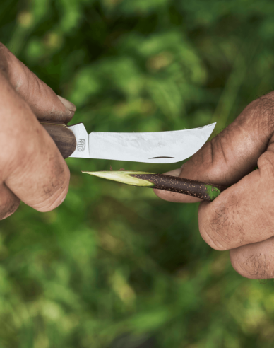 Cuțit de vaccinare FELCO 511 Grapevine